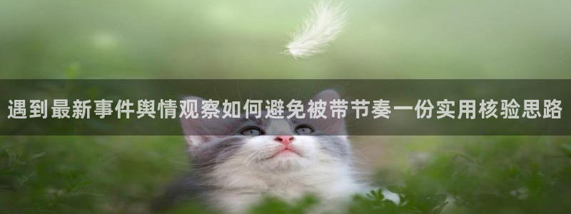 黑料爆料每日资讯