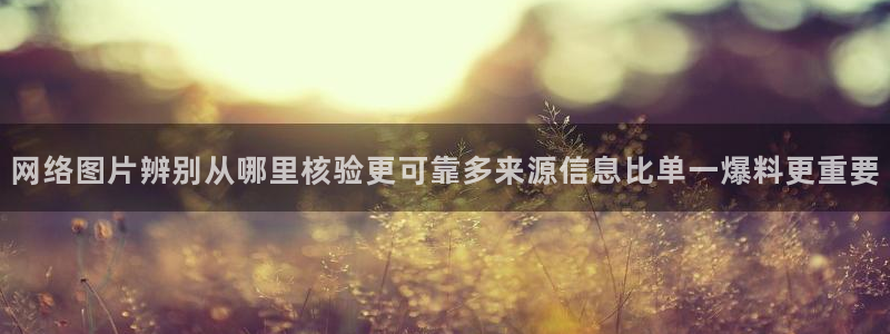 网络黑料事件