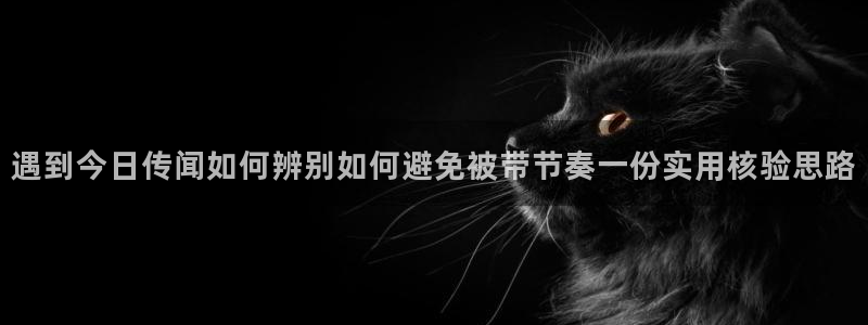 网络事件动态
