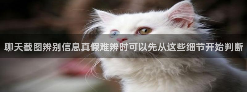 网络热门事件